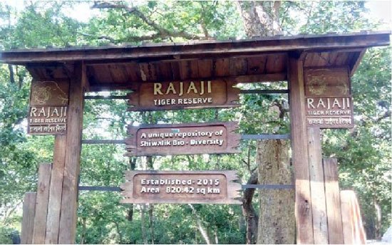 rajaji national park